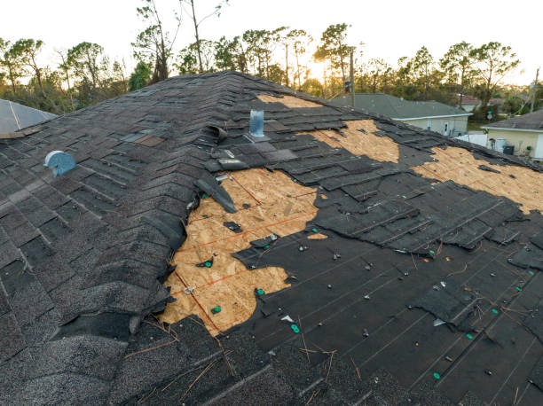 Best Asphalt Shingle Roofing  in North Prairie, WI